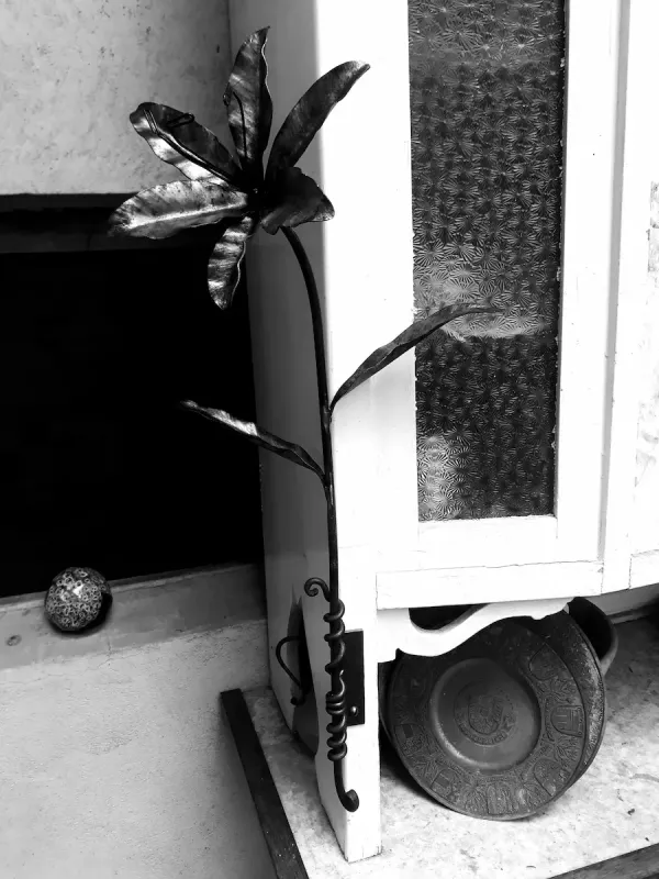 Lilie - The small one