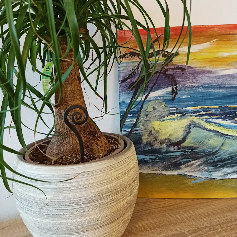 Handgeschmiedeter Pflanzenstecker mit Spiralform im Topf - Stahlcraft Marinkovits